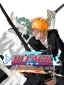 Bleach Shattered Blade