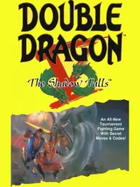 Double Dragon V The Shadow Falls