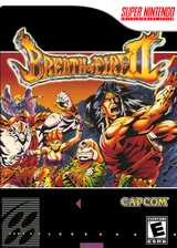 Breath of Fire II — Wii