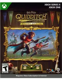 Harry Potter Quidditch Champions