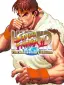 Street Fighter Anniversary