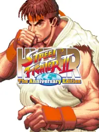 Street Fighter Anniversary
