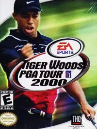 Tiger Woods 2000