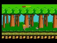 Wonder Boy - Asha In Monster World & Wonder Boy Collection